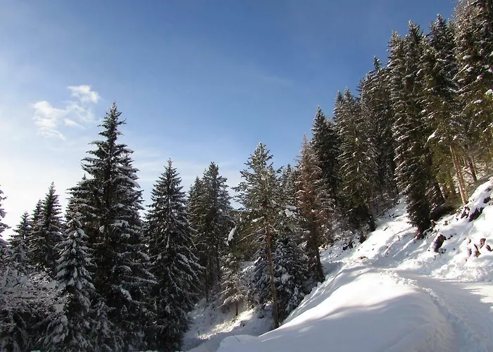 Sprung * رادستادت